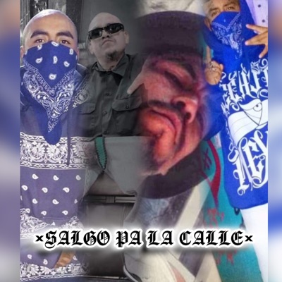 Salgo Pa la Calle (feat. Volcanik Flow & MR. CRUZ) - Single