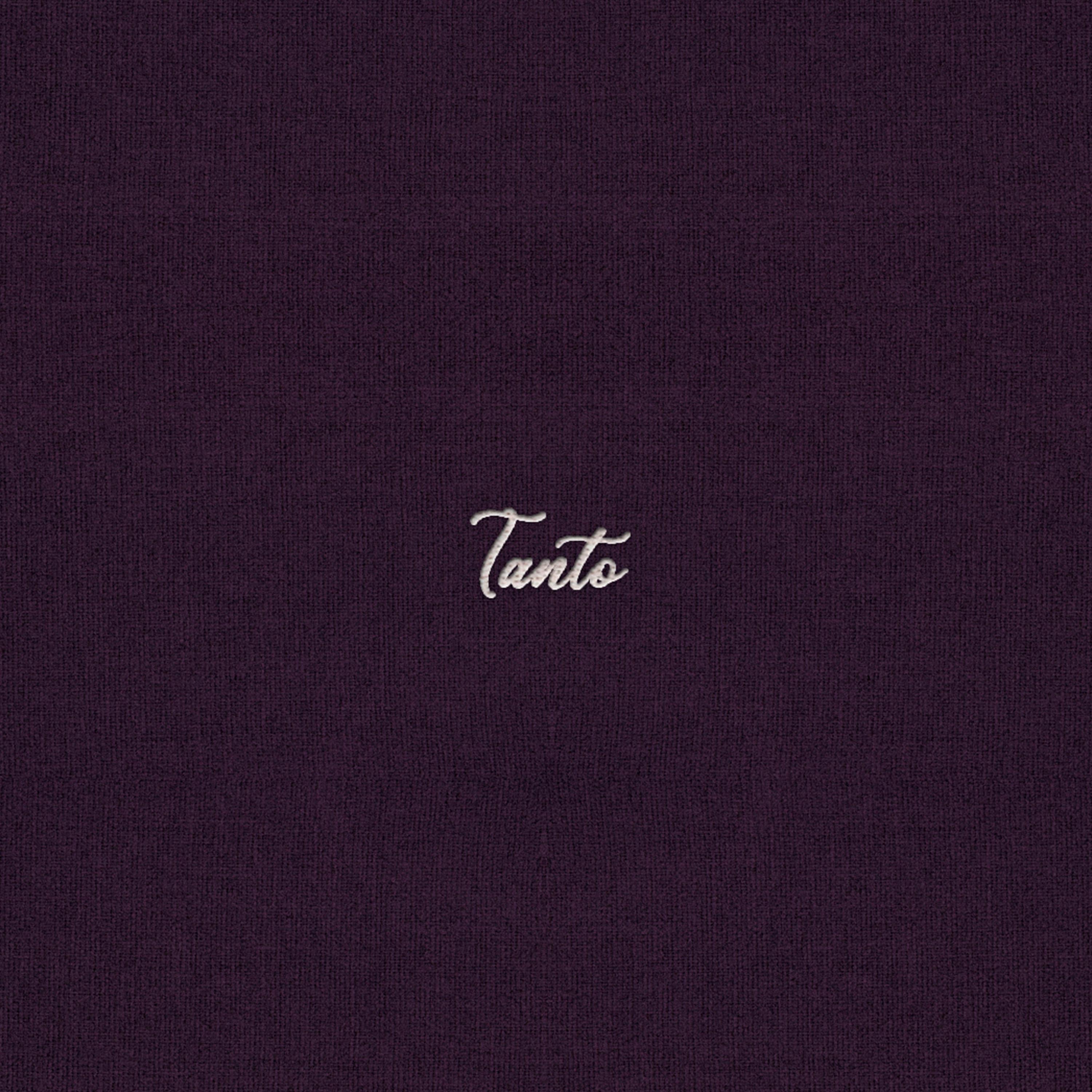 TANTO (feat. Quizzical Guille) - Single by Laco010 album cover