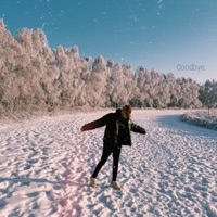 Goodbye - Single - Скаттл