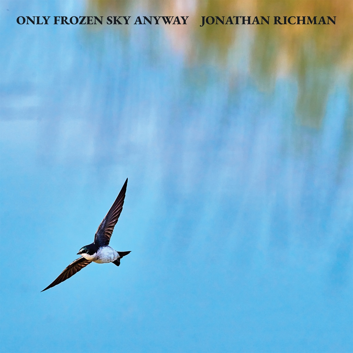 Jonathan Richman - Only Frozen Sky Anyway (2025) [iTunes Plus AAC M4A]-新房子