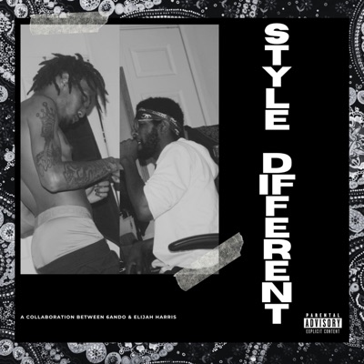 Style Different (feat. Elijah Harris) - Single