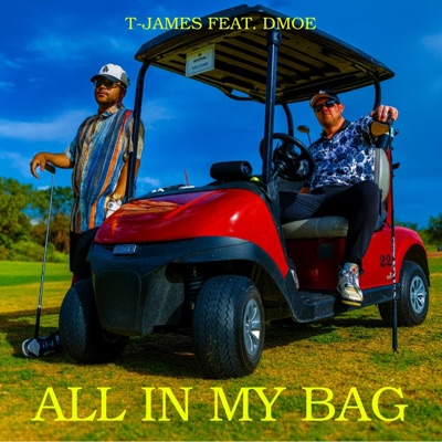 All In My Bag (feat. dmoe) - Single