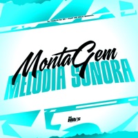 Montagem Melodia Sonora (feat. MC Eduh Original) - Single - Dj Carlin Da Zo