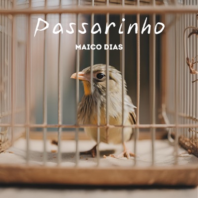 Passarinho - Single