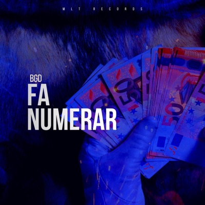 Bgd MLT - Fa Numerar Freestyle