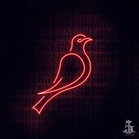 Cuculus canorus - Single - Lollari5000