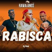 Rabisca - Single - Os Hawaianos & DJ Pelé