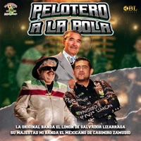 Pelotero a la Bola (Live)