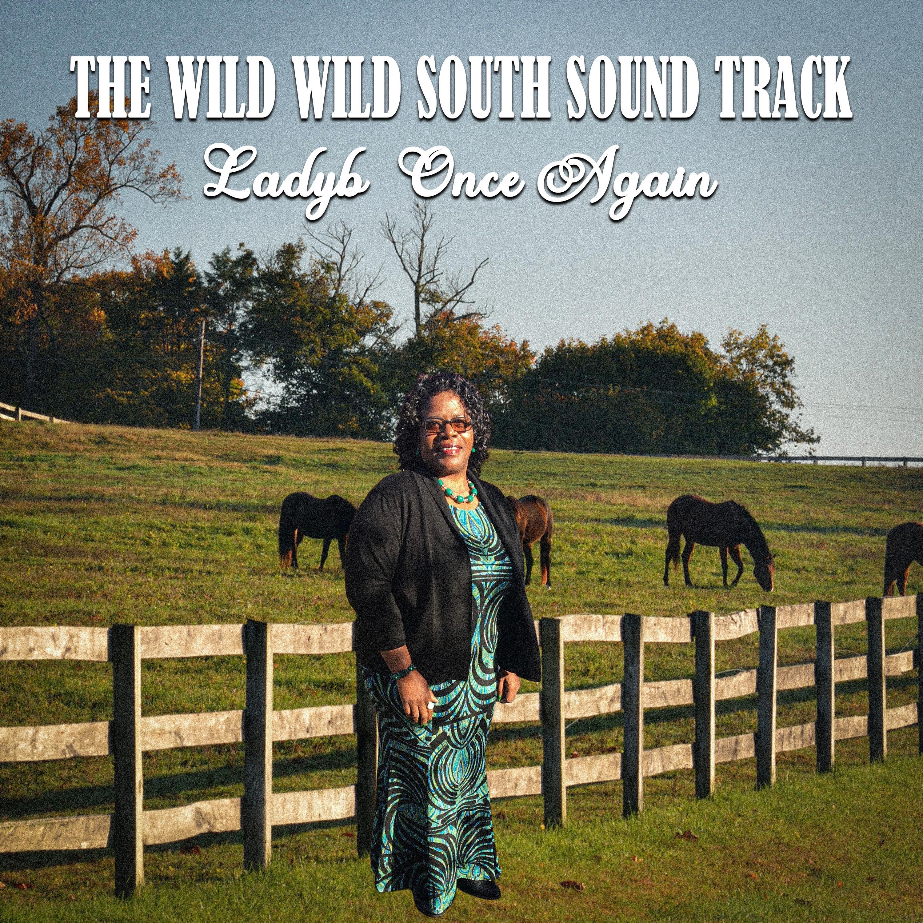 The Wild Wild South Sound Track - EP