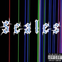 Scales - Single - Sensei