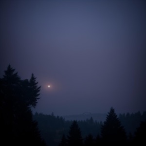 reflection - Single