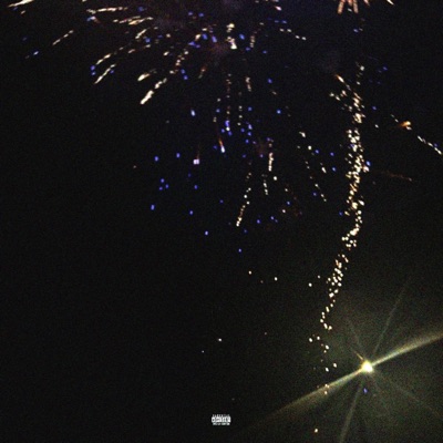 Missing The Plot - Single