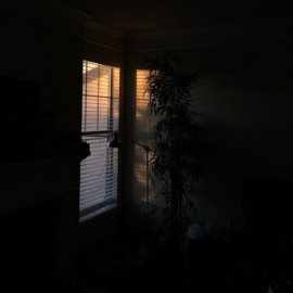 sunny day Fuyu & Secret Tapes