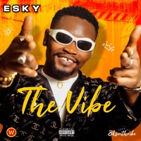 The Vibe - Single - Esky