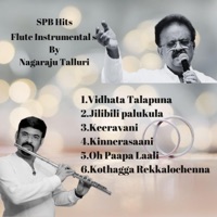Flute Instrumentals by Nagaraju Talluri -, Vol. 1 - EP - Nagaraju Talluri
