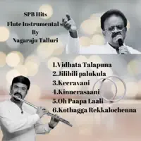 1.Vidhaatha Thalapuna — Nagaraju Talluri