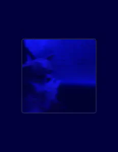 25 सुनें, म्यूज़िक वीडियो देखें, बायो पढ़ें, दौरे की तारीखें और बहुत कुछ देखें!