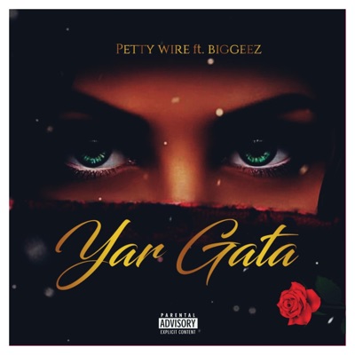 Yar gata (feat. BigGeez) - Single