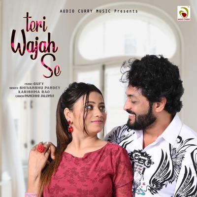 Teri Wajah Se - Single