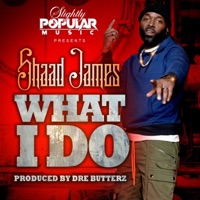 What I Do - Single - Shaad James