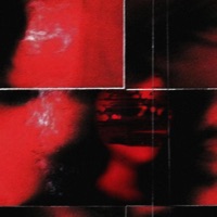 polaroid - Single - anvii