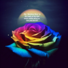 Rainbow Rose - Waldo Contoh Light