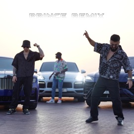 Prince (Alternate Mix) [feat. Ditto] Dj Zuxa & Massa