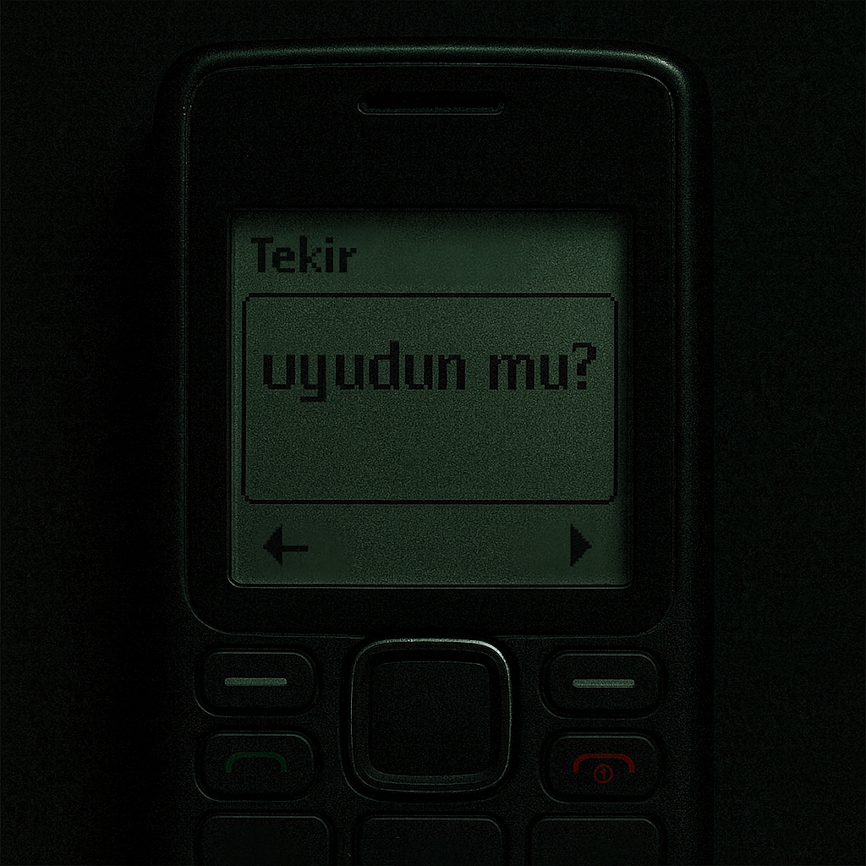 uyudun mu? - Single