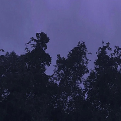 Rehab - Single