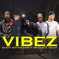 Vibez - Single - Bad Rikky, Seggy Inkk, Slinkey77, Piero La Rocca & Jungle Di