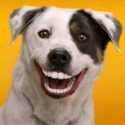 Saeiieeez Onee 15 - I used to have hoop dreams