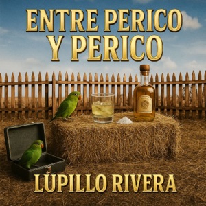 Entre Perico Y Perico