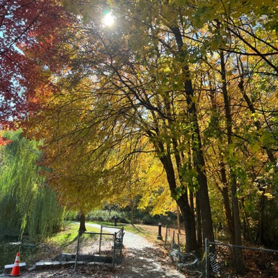 The worlds praise - Single