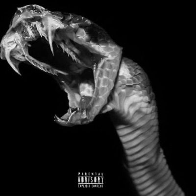 COMME UNE COULEUVRE (feat. BIG CHK) - Single