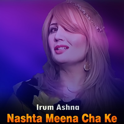 Nashta Meena Cha Ke - Single