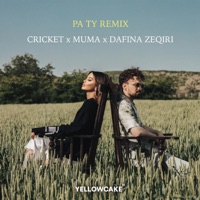 Pa ty (Remix) - Single - Cricket, Muma & Dafina Zeqiri