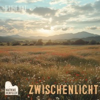 Zwischenlicht - Single - Fieldt