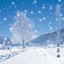 你那里下雪了吗 (器乐曲)