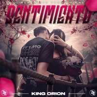 Sentimiento - Single - King Orion