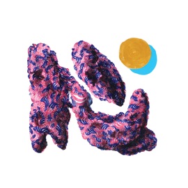 Did It Again (feat. Panda Bear) Teebs