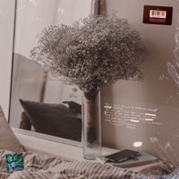 Change - Single - Deadfish