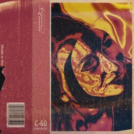 Take The Fall Modern Tiger