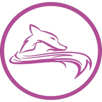 Mas Zorra Que Tu Siempre (Remix) - Single - Moli, Soriano & Pino