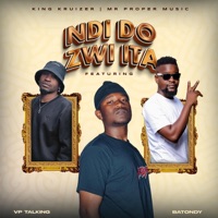 Ndi Do Zwi Ita (feat. Batondy, VP Talking & Mr Proper Music) - Single - King Kruizer