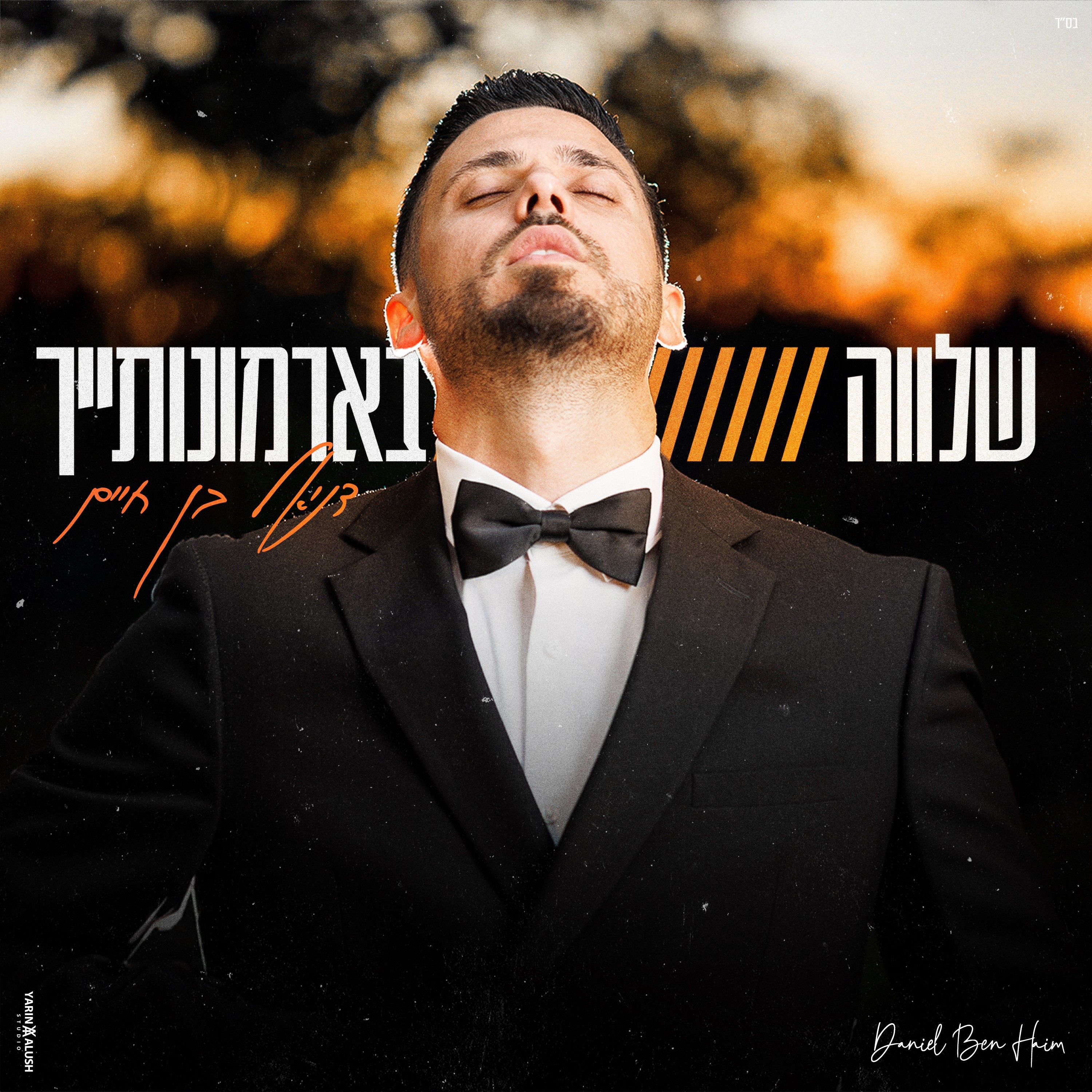 שלווה בארמונותיך - Single