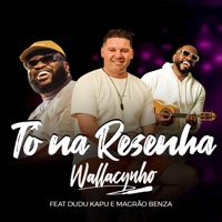 To na Resenha (feat. Magrão bzd & Dudu Kapu) - Single - Wallacynho