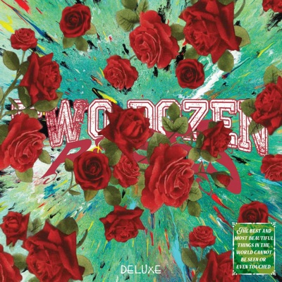 TWO DOZEN ROSES (DELUXE)