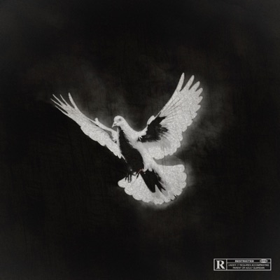 Pa' Bien o Mal - Single