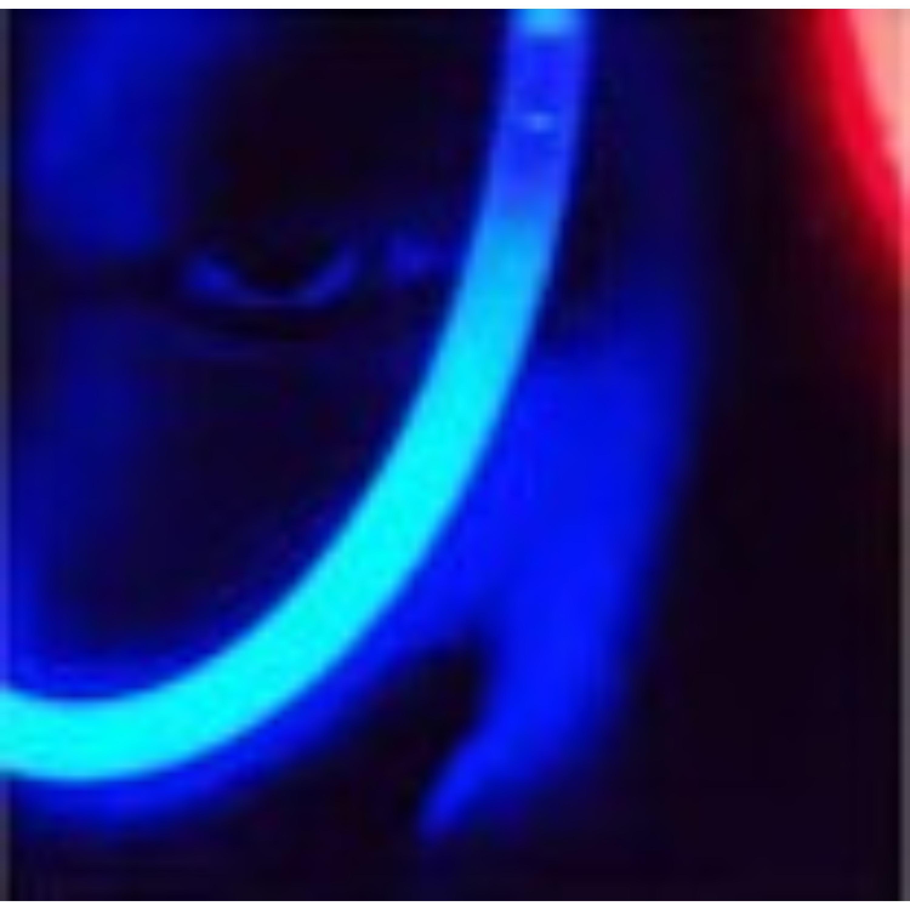 Thank the Lord - Single