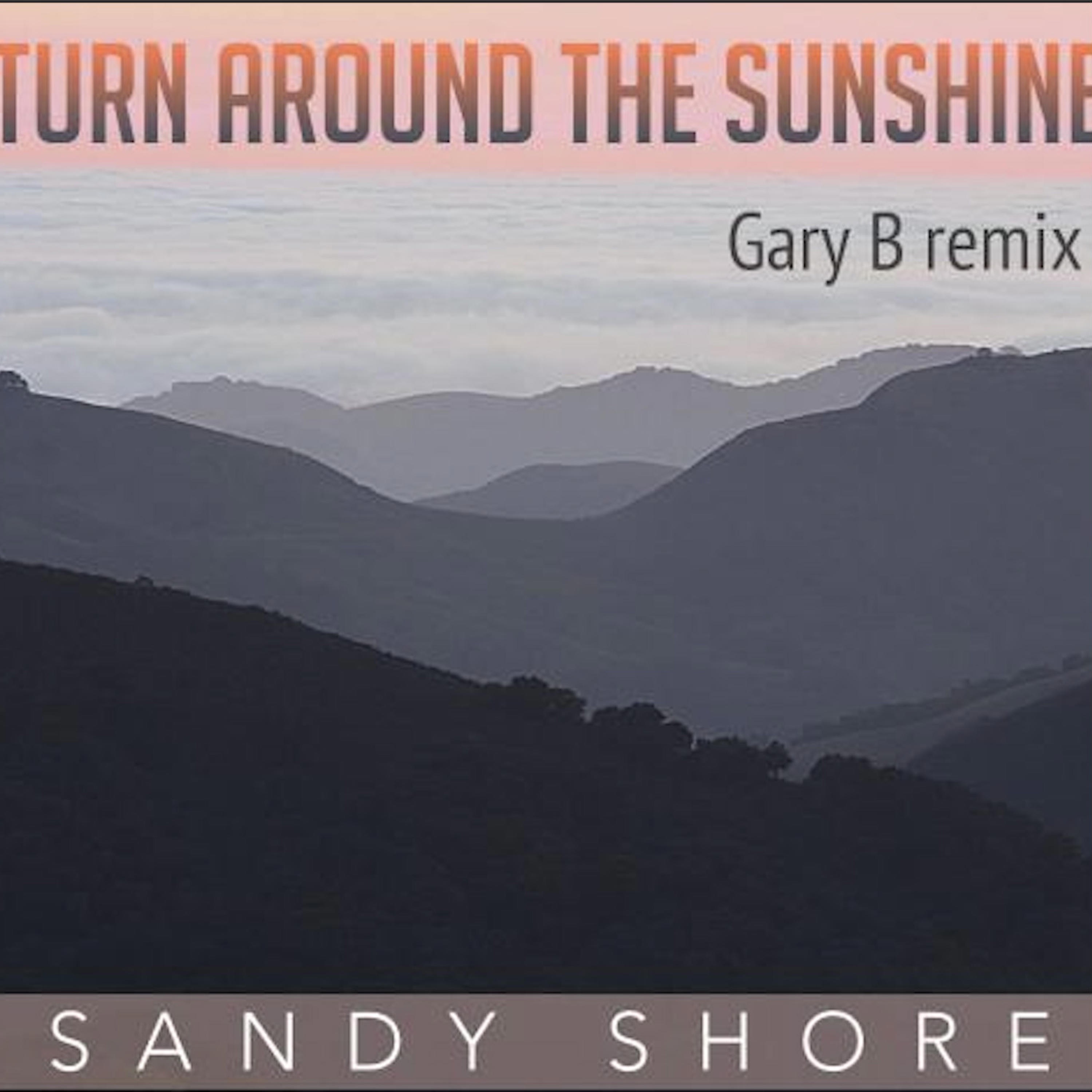 Turn Around The Sunshine (feat. Gary B) - Single